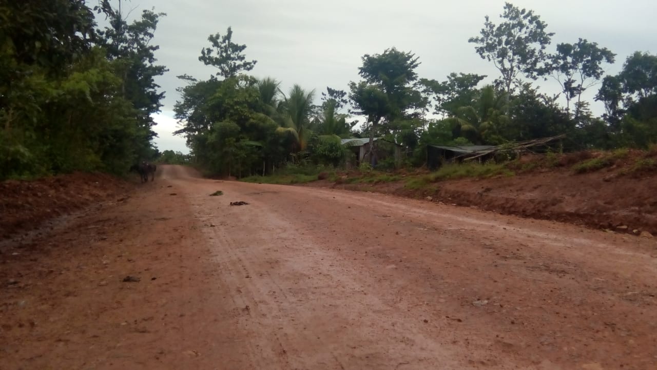 siuna
